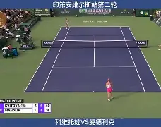 爱游戏平台下载- 这也行？科维托娃新星突破纪录表现惊艳西汉姆围绕欧超杯更衣室发声，国际比赛日布鲁克林篮网备战英超